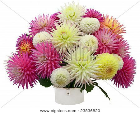 จัดเรียงดอก Chrysanthemums และ Dahlias