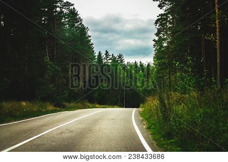 Road To The Distance Among The Forest