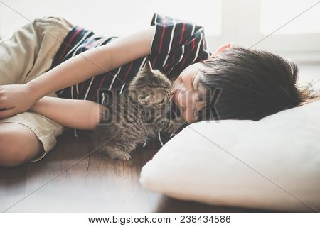 Asian Child Playing With Short Hair Kitten