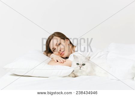 Calm Young Woman Lying In Bed With White Cute Persian Silver Chinchilla Cat, Sheet, Pillow, Blanket