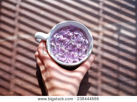 White Cup Full Of Lilac Flowers In A Hand Over Blinds Shadow Texture.