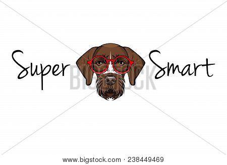 German Shorthaired Pointer Nerd. Dog Geek. Smart Glasses. Super Smart Lettering. Vector Illustration