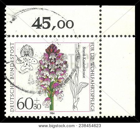 Germany - Circa 1984: Stamp Printed By Germany, Color Edition On Flowers, Shows Orchids, Orchis Ustu