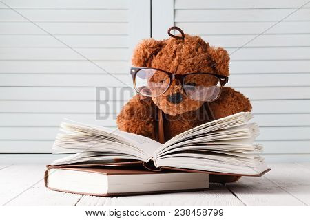 Kid Education Concept, Eddy Bear With Book