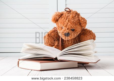 Kid Education Concept, Eddy Bear With Book