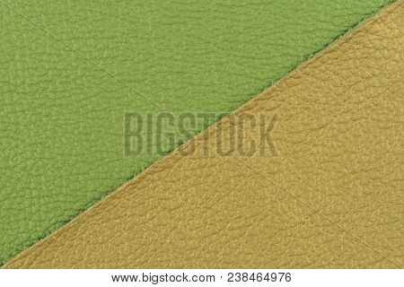 Green And Yellow Eather Texture Closeup, Useful As Background. Abstract Background, Empty Template. 