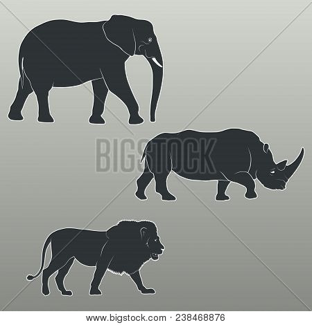 Silhouettes Of Savannah Animals - Elephant, Rhino, Lion