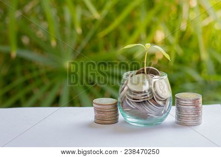 Coins In Glass Jar With The Small Tree On Top Set , Put In A Green Park Background Also Some Coins B