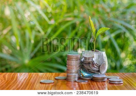 Coins In Glass Jar With The Small Tree On Top Set , Put In A Green Park Background Also Some Coins B