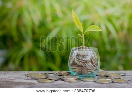 Coins In Glass Jar With The Small Tree On Top Set , Put In A Green Park Background Also Some Coins B