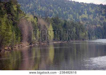 River Shore Planted With Conifer Trees And Birches And Its Reflection In River Water