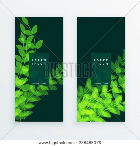 Leaf Nature Verticle Banner Card Vector Illustration