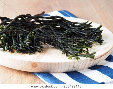 Codium - Velvet Horn - Spongeweed.

Edible Green Seaweed In The Family Codiaceae. Binomial Name: Cod
