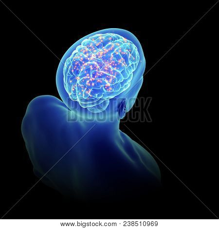 3d rendered, medically accurate illustration of an active brain