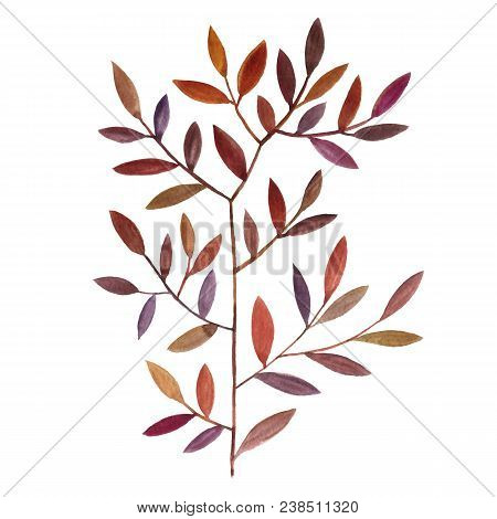 Watercolor Drawing Tree With Leaves, Hand Drawn Illuctration
