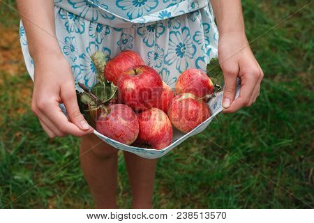 Girl Holding Apples In Skirt Hemline