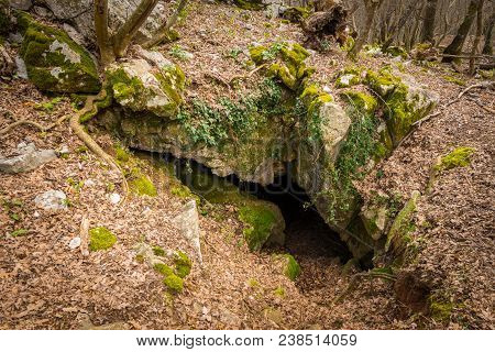 Entrance Of A Karst Cave In The Forest Near Beli, Island Cres Croatia