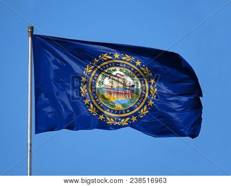 National Flag State Of New Hampshire On A Flagpole In Front Of Blue Sky.