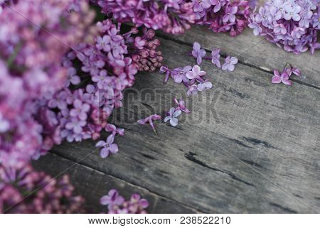 Spring Flowers. Lilac Flowers On White Wooden Background. Top View,