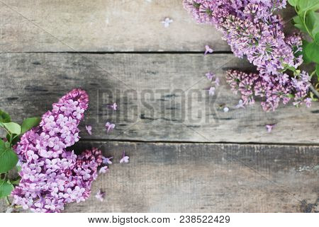 Spring Flowers. Purple Lilac Flowers Frame On Rustic Textured Gray Wooden Background.