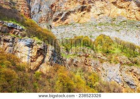 Rock Formations, Trees On The Slopes, Mountain Plateau