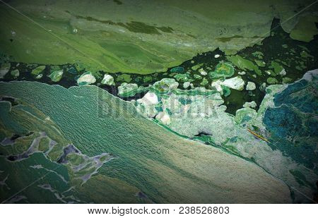 Sludge Texture. Green Background. Water Abstract Ecology Farraginous