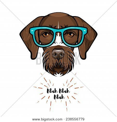 German Short Haired Pointer Nerd. Smart Glasses. Dog Geek. Clever Dog Portrait. Vector Illustration