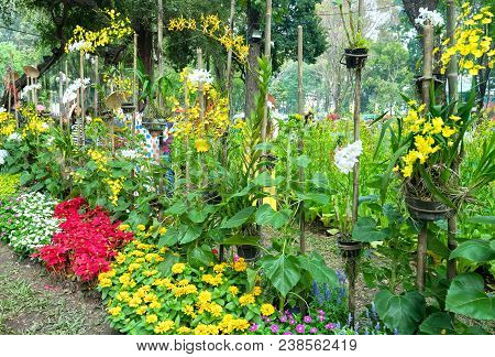 Ho Chi Minh City, Vietnam - February 11, 2018: Spring Festival Flower Garden In Lunar Year To Attrac
