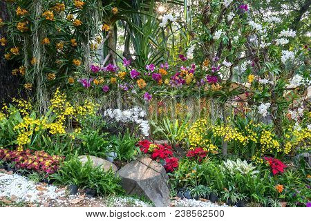 Ho Chi Minh City, Vietnam - February 11, 2018: Spring Festival Flower Garden In Lunar Year To Attrac