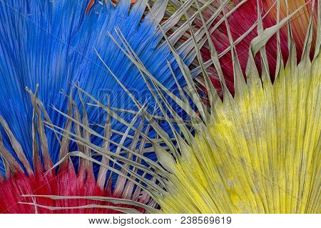 Dried Leaf  Yellow Red And Blue For Background Or Wallpaper.