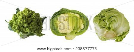 Different Kinds Of Cabbage. Broccoli, Cauliflower And Cabbage Isolated On White Background. With Cop