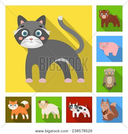 Toy Animals Flat Icons In Set Collection For Design. Bird, Predator And Herbivore Vector Symbol Stoc