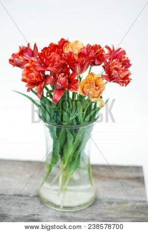 Spring Flowers. Bouquet Of Red Tulips In Glass Vase On Brown Wooden Background. Mother's Day And Val