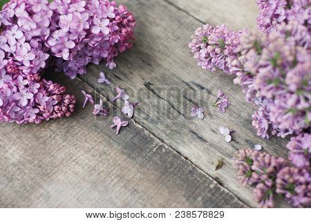 Spring Flowers. Purple Lilac Flowers Frame On Rustic Textured Gray Wooden Background.