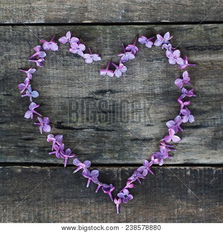 Purple Heart Shape From Lilalc Flowers. Spring Time. Textured Wooden Board.