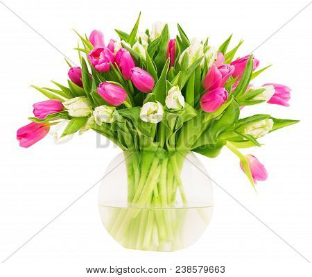 Tulip Flowers In Glass Vase Isolated Over White Background, Bunch Of Colorful Tulips In Flower Pot