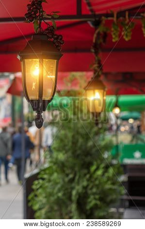 Garden Lights With Solar Battery