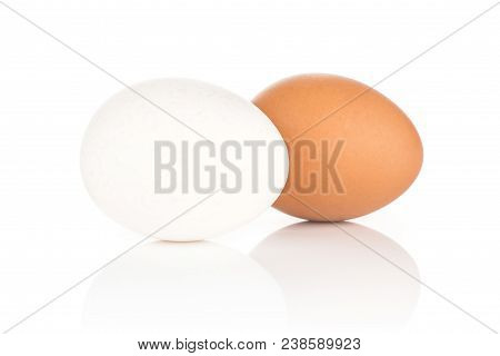 Two White Chicken Eggs Isolated On White Background One White And Brown Collection