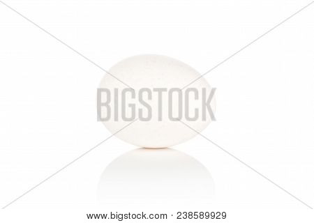 White Chicken Egg Isolated On White Background