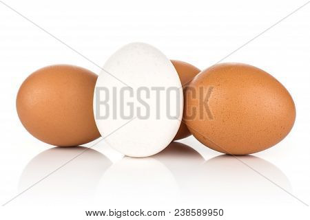 White Chicken Eggs Collection Isolated On White Background One White Three Brown