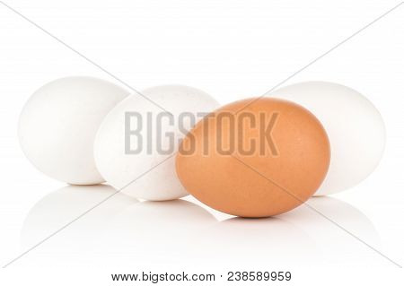 White Chicken Eggs Collection Isolated On White Background Three White One Brown