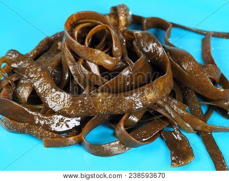 Thongweed - Sea Thong - Sea Spaghetti - Espagheti De Mar

Sea Spaghetti Is A Brown Algae. Binomial N