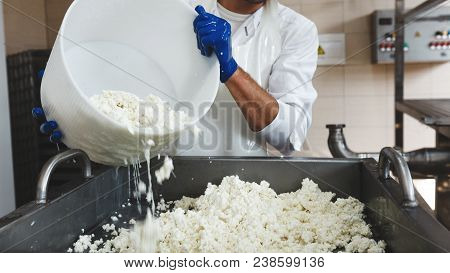 Close-up Of A Man Pours The Cheese Mass Into Container For Packing. Traditional Cheese Making Concep