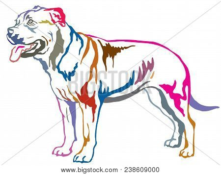 Colorful Contour Decorative Portrait Of Standing In Profile Ca De Bou, Vector Isolated Illustration 