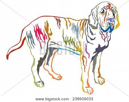 Colorful Contour Decorative Portrait Of Standing In Profile Fila Brasileiro, Vector Isolated Illustr