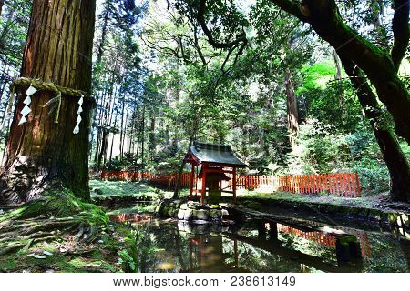 Sanctuary, Sacred Area Appeared In The Temple, Ishiyama Dera, Japan. I Can Feel Something Sacred And