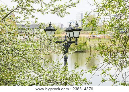 Black Metal Lantern With Two Tourist Sign In A Green Park. Black Lantern In A The Background Of Tree