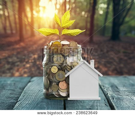 Savings Money Jar Full Of Coins On Soil Plant Growing In Savings Coins Investment And Etirement Or E