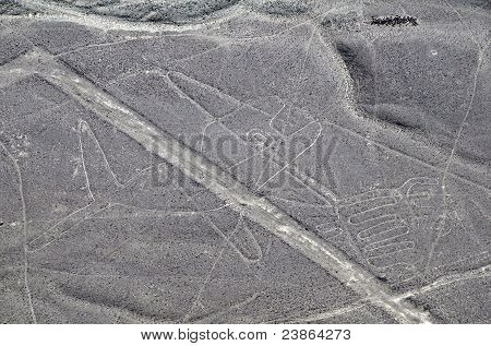 Наска линии - Кит - вид сверху