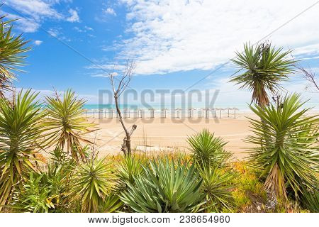 Vieste, Italy, Europe - Arriving At The And Calm Clean Beach Of Vieste